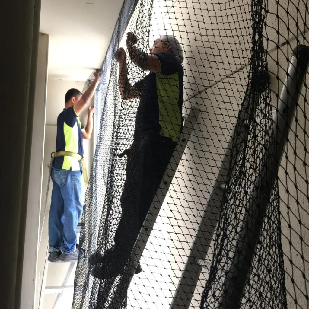 Our Bird Netting Installation Process