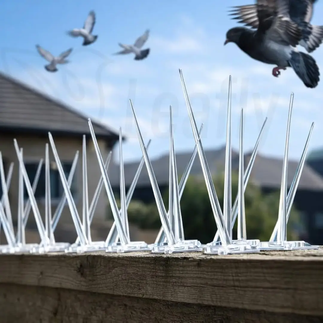 Bird Spikes